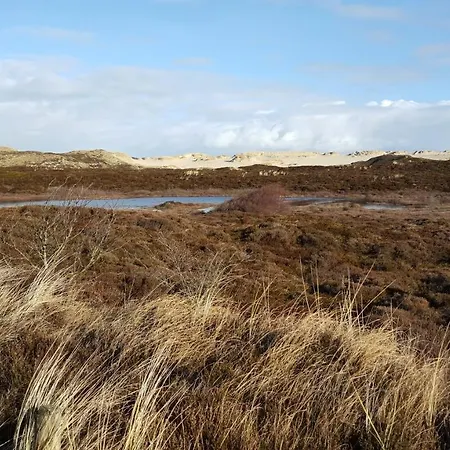 Hébergement de vacances Ferienhaus Kaethchen Am Deich Vor Den Toren Von Sylt