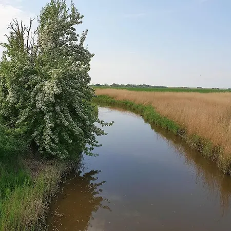 Ferienhaus Kaethchen Am Deich Vor Den Toren Von Sylt *